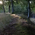 Bei Mit Garten Willingen (Upland)