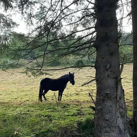 Bei Mit Garten * ヴィリンゲン