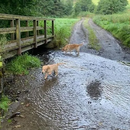Bei Mit Garten アパート ヴィリンゲン