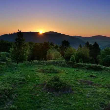 Near With Garden Willingen (Upland)