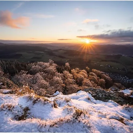 Near With Garden * Willingen