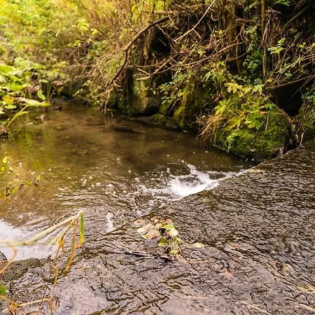 アパート Bei Mit Garten