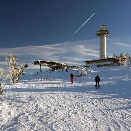 Bei Mit Garten Willingen (Upland)