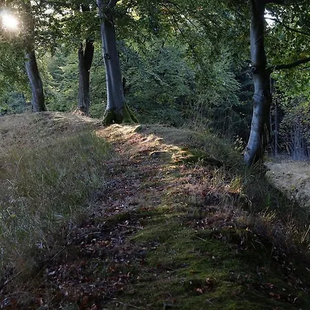 Bei Mit Garten Willingen (Upland)