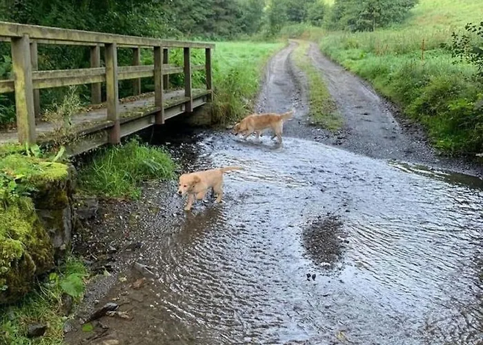 Bei Mit Garten Appartement Willingen (Upland)