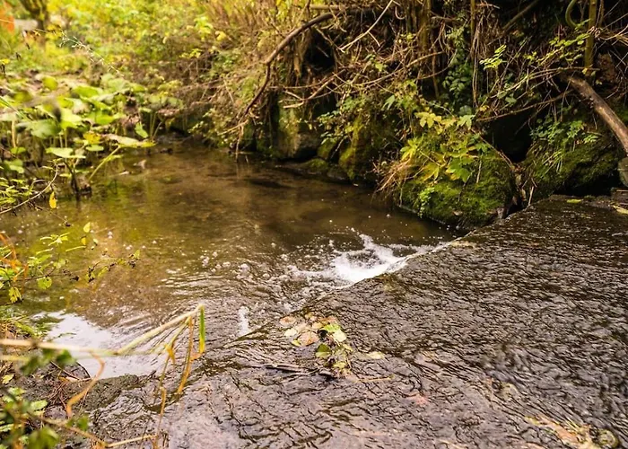 Appartement Bei Mit Garten